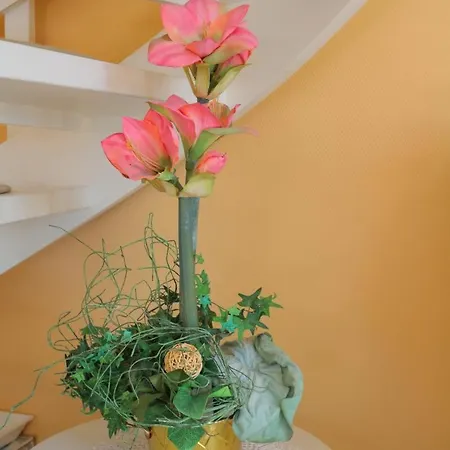 Haus Alice - Klotz 32/13 Westerland