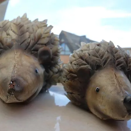 Haus Alice - Klotz 32/13 Daire Westerland