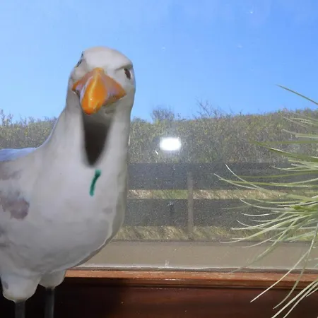 Daire Haus Alice - Klotz 32/13