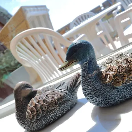 Haus Alice - Klotz 32/13 * Westerland